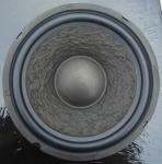lw1000_2.jpg